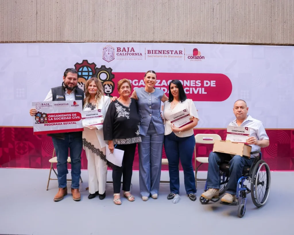 Borrador automático