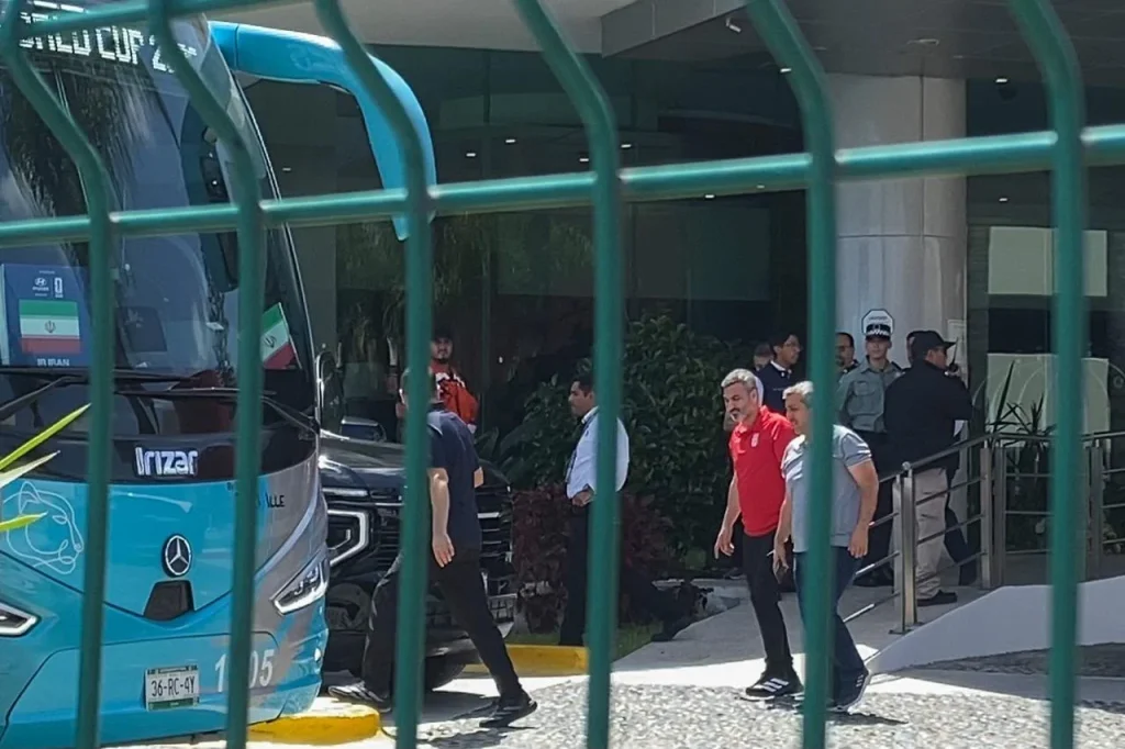 Borrador automático
