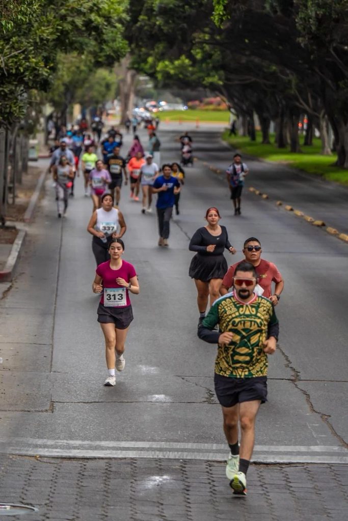 Borrador automático