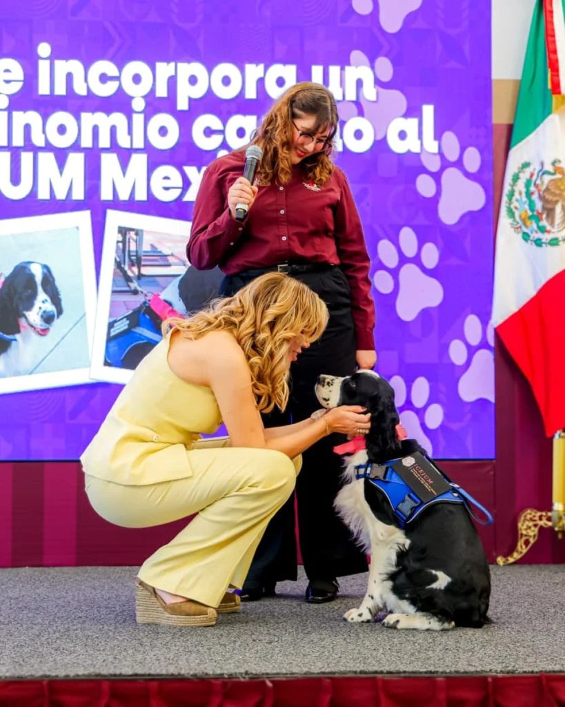Terapias con binomios caninos en CEJUM: Así expanden el apoyo emocional infantil en Baja California