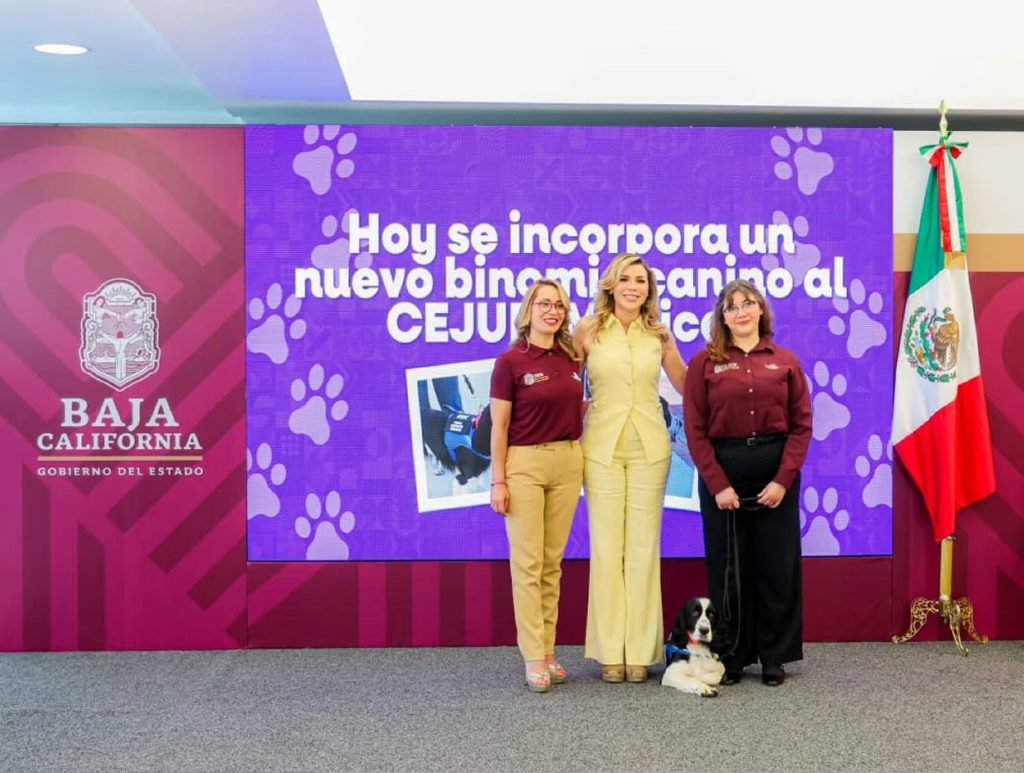 Terapias con binomios caninos en CEJUM: Así expanden el apoyo emocional infantil en Baja California