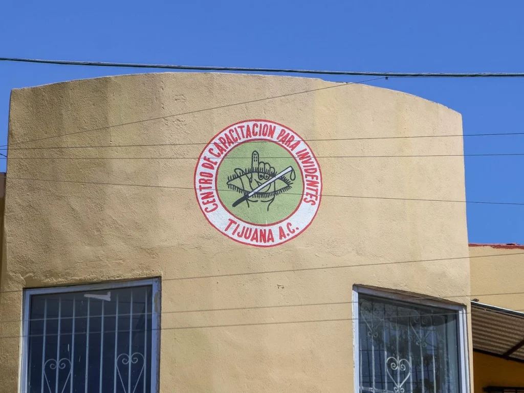 Borrador automático