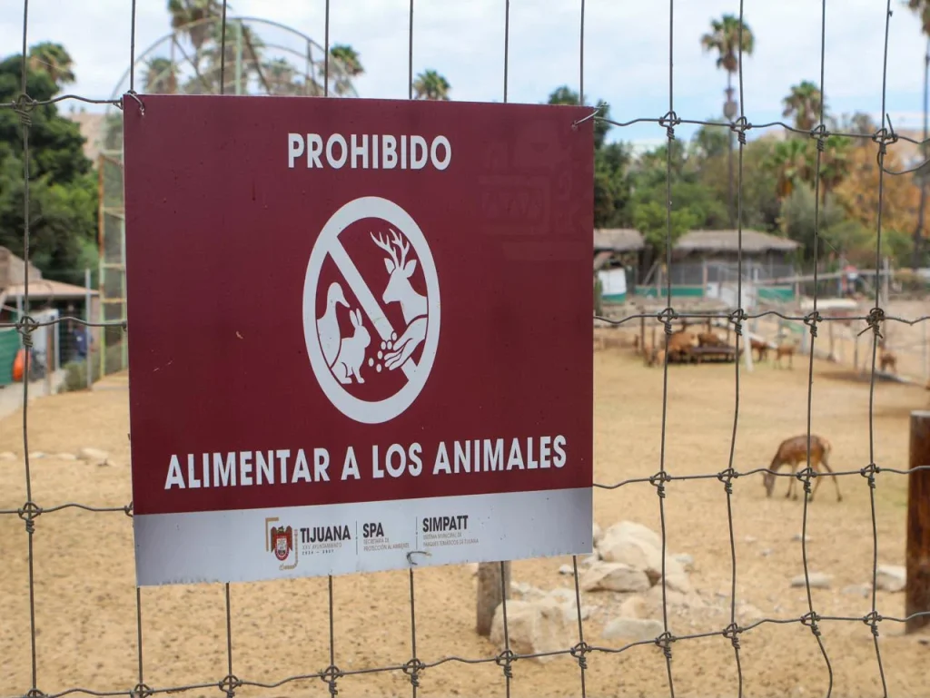 Cierran el zoológico del Parque Morelos en Tijuana; reubicarán a más de 160 animales