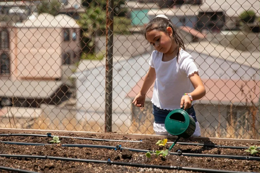 Inauguran huerto educativo en Club de Niños y Niñas de Tijuana para fomentar la alimentación sustentable