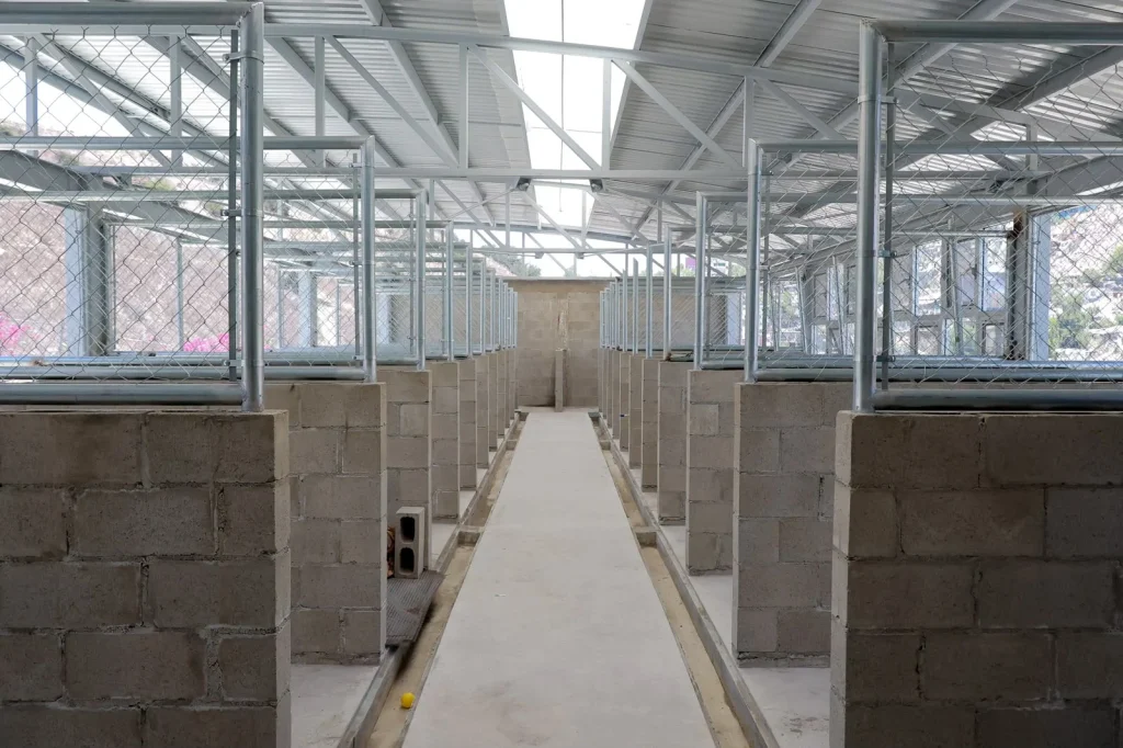 Supervisan obras de ampliación y remodelación en el Centro de Control Animal de Tijuana