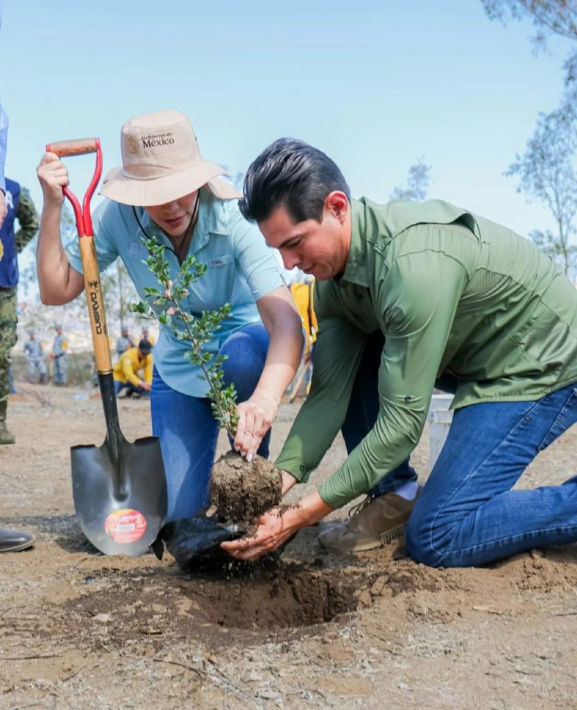 Baja California se suma a la Jornada Nacional de Reforestación 2026 con la siembra de 35 mil plantas en Tecate