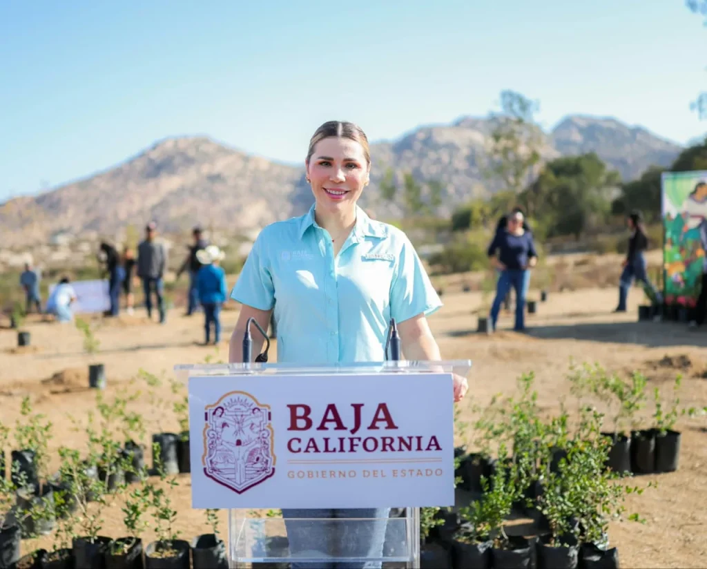 Baja California se suma a la Jornada Nacional de Reforestación 2026 con la siembra de 35 mil plantas en Tecate