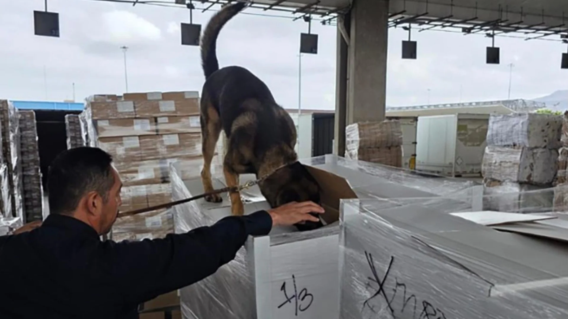 Decomisan más de 1.3 toneladas de droga en la Aduana de Tijuana