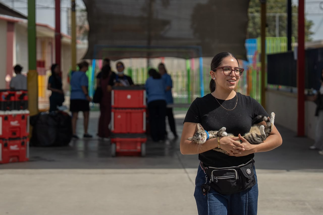 Esterilizan gratis a 120 perros y gatos en colonia Buena Vista de Tijuana