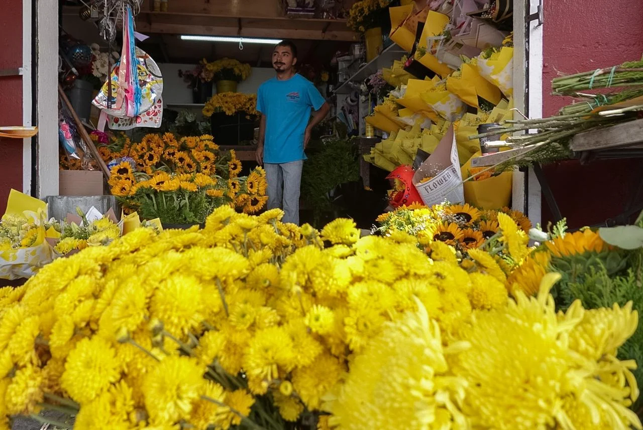 Tendencia de flores amarillas eleva hasta 50% las ventas en florerías de Tijuana