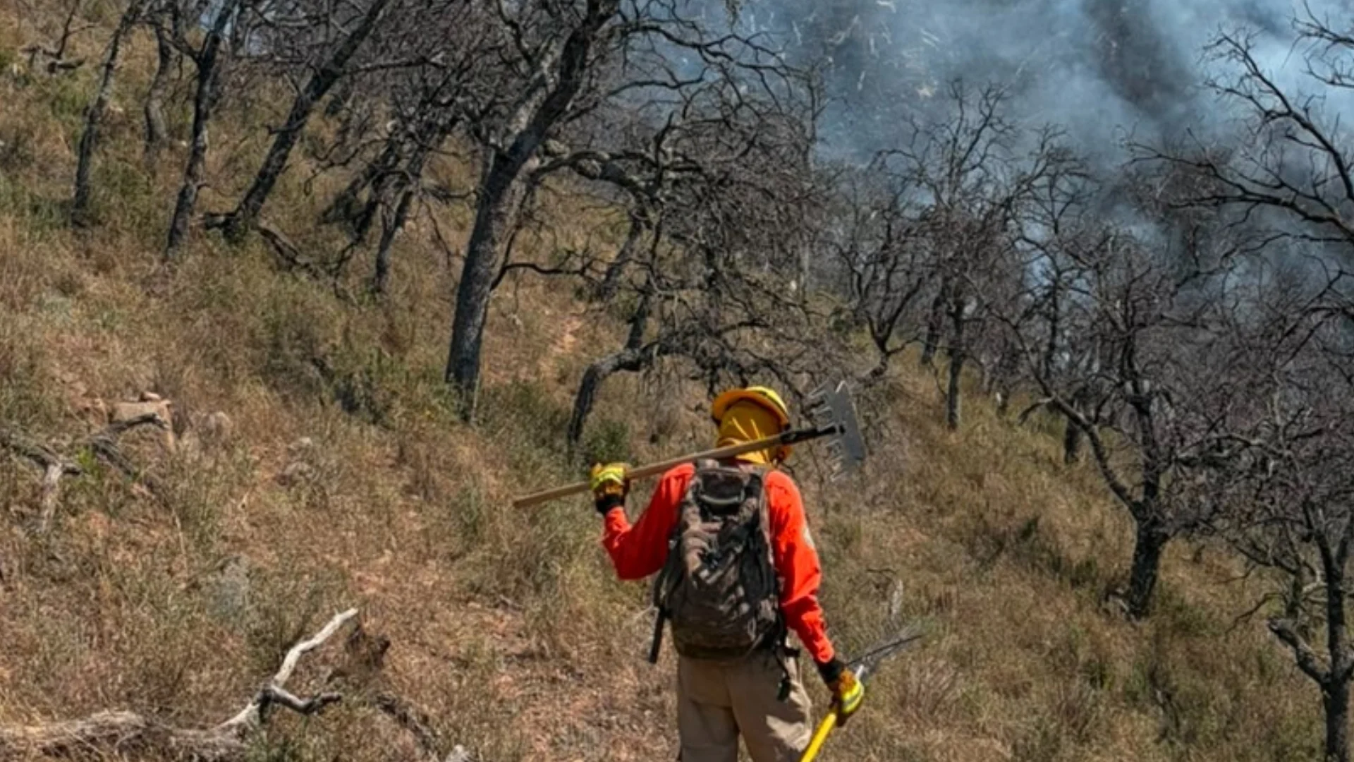 Despliegan a más de 100 combatientes por incendio forestal en Tarachi