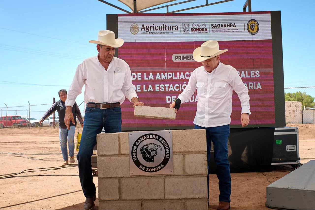 Duplica Gobernador Durazo exportación de ganado e impulsa obras para alcanzar 3 mil cabezas diarias