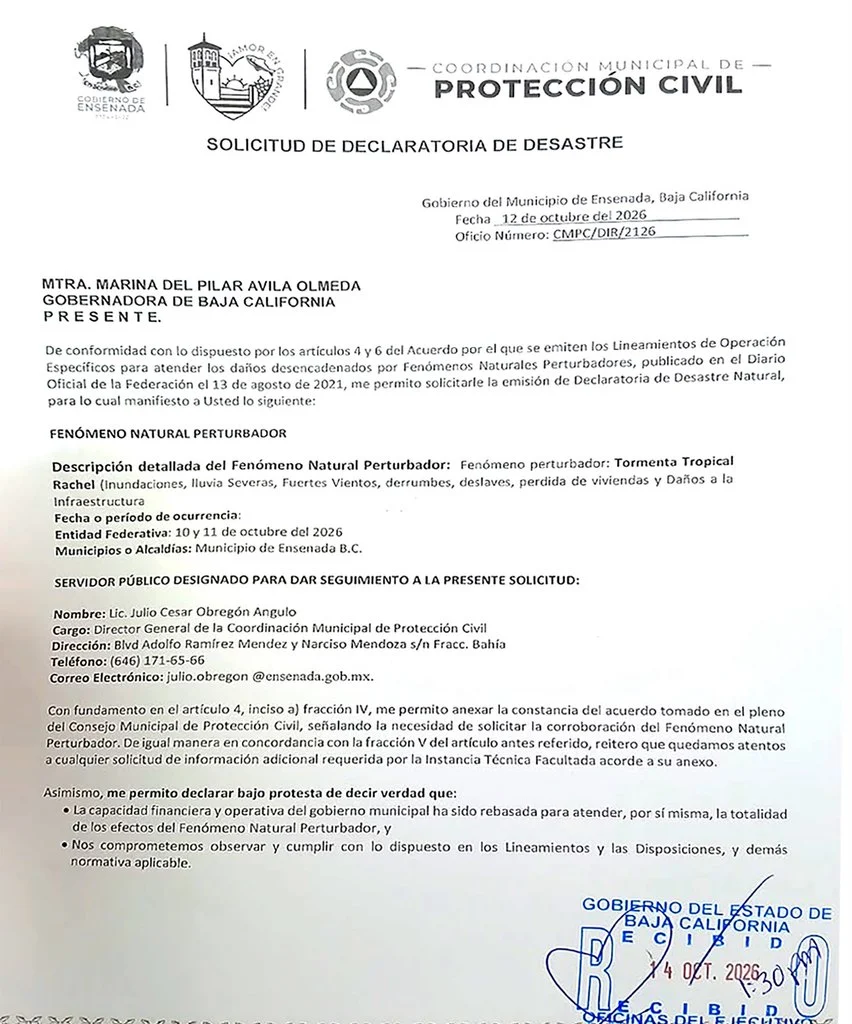 Borrador automático
