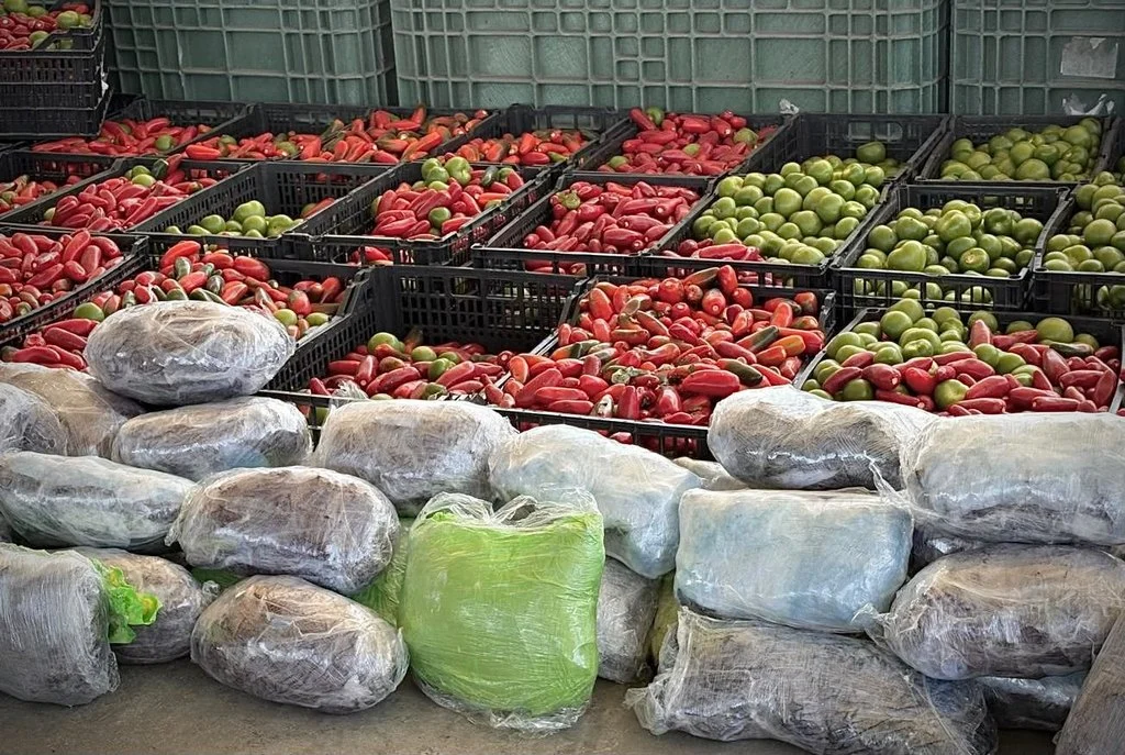 Decomisan más de 724 kilos de metanfetamina ocultos en cargamento de verduras