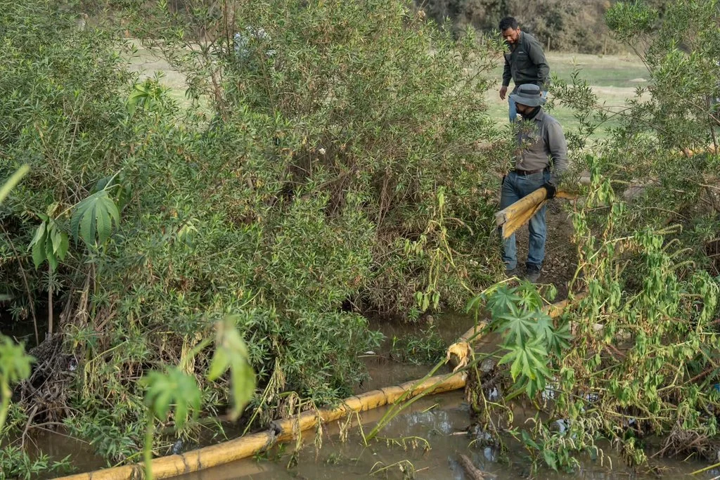 Vuelca pipa y derrama 9 mil litros de diésel en arroyo de Playas de Rosarito; activan cerco ecológico